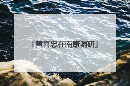 黄喜忠在南康调研