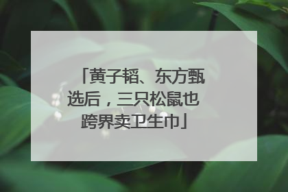 黄子韬、东方甄选后，三只松鼠也跨界卖卫生巾