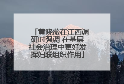 黄晓薇在江西调研时强调 在基层社会治理中更好发挥妇联组织作用