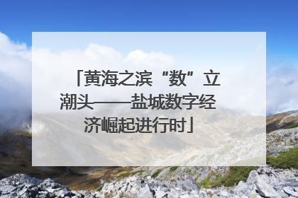 黄海之滨“数”立潮头——盐城数字经济崛起进行时