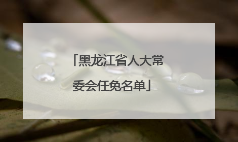黑龙江省人大常委会任免名单