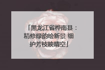 黑龙江省桦南县：精修绿韵绘新景 细护芳枝映晴空