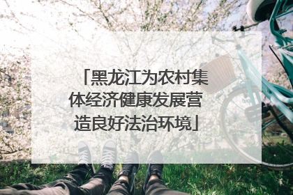 黑龙江为农村集体经济健康发展营造良好法治环境
