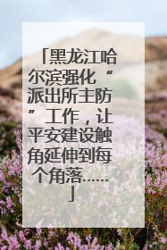 黑龙江哈尔滨强化“派出所主防”工作，让平安建设触角延伸到每个角落……