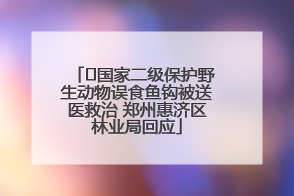 ﻿国家二级保护野生动物误食鱼钩被送医救治 郑州惠济区林业局回应