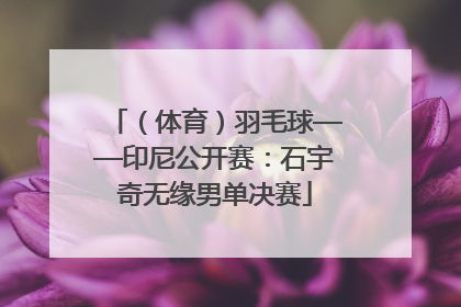 （体育）羽毛球——印尼公开赛：石宇奇无缘男单决赛