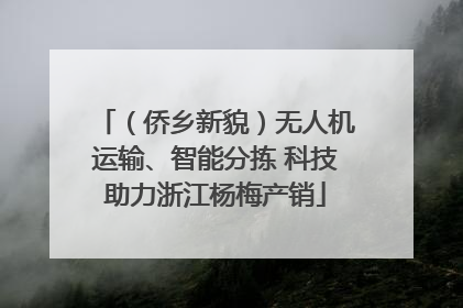 （侨乡新貌）无人机运输、智能分拣 科技助力浙江杨梅产销