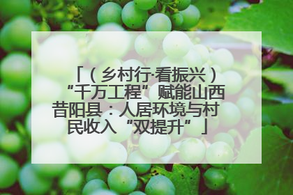 （乡村行·看振兴）“千万工程”赋能山西昔阳县：人居环境与村民收入“双提升”