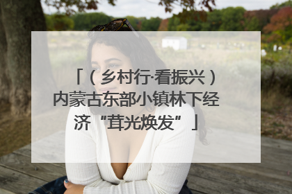 （乡村行·看振兴）内蒙古东部小镇林下经济“茸光焕发”