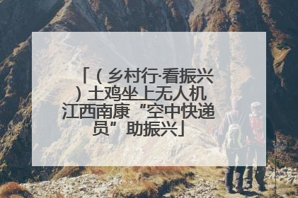 （乡村行·看振兴）土鸡坐上无人机 江西南康“空中快递员”助振兴
