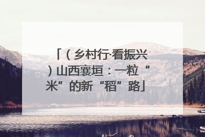 （乡村行·看振兴）山西襄垣：一粒“米”的新“稻”路