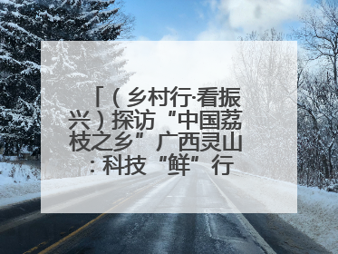 （乡村行·看振兴）探访“中国荔枝之乡”广西灵山：科技“鲜”行 实“荔”C位