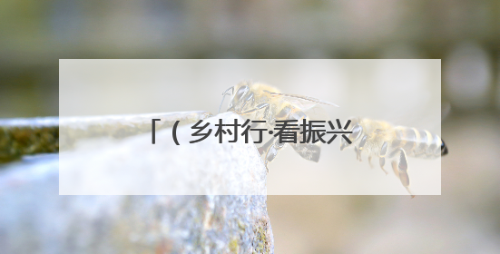 （乡村行·看振兴）通讯：内蒙古乡村公益岗托底农牧民“稳稳的幸福”