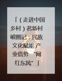 （走进中国乡村）茗新村破圈记：民族文化赋能 产业借势 “网红东风”