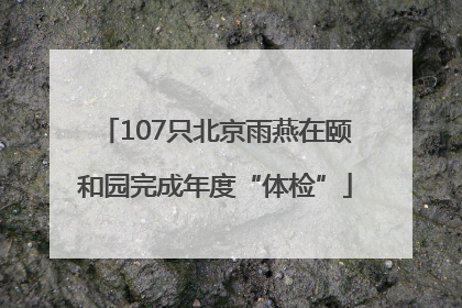 107只北京雨燕在颐和园完成年度“体检”