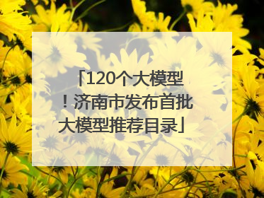 120个大模型！济南市发布首批大模型推荐目录