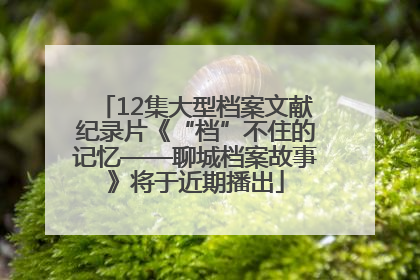 12集大型档案文献纪录片《“档”不住的记忆——聊城档案故事》将于近期播出