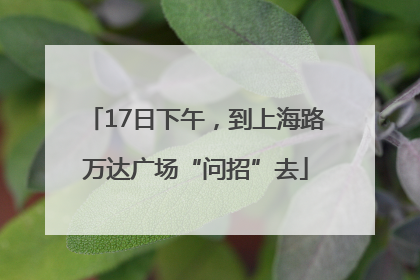 17日下午，到上海路万达广场“问招”去