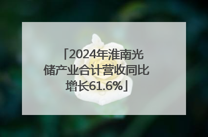 2024年淮南光储产业合计营收同比增长61.6%
