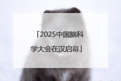2025中国脑科学大会在汉启幕