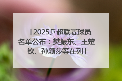 2025乒超联赛球员名单公布：樊振东、王楚钦、孙颖莎等在列