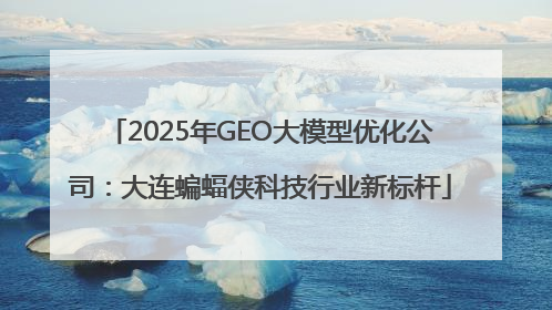 2025年GEO大模型优化公司：大连蝙蝠侠科技行业新标杆
