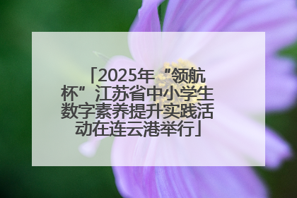 2025年“领航杯”江苏省中小学生数字素养提升实践活动在连云港举行