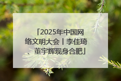 2025年中国网络文明大会丨李佳琦、董宇辉现身合肥