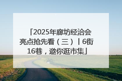 2025年廊坊经洽会亮点抢先看（三）丨6街16巷，邀你逛市集