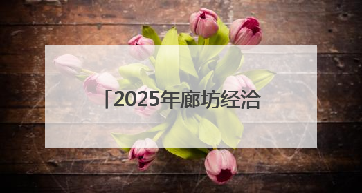 2025年廊坊经洽会亮点抢先看（二）丨河北将面向全球首次发布国际化招商地图