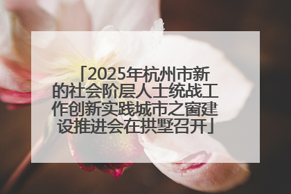 2025年杭州市新的社会阶层人士统战工作创新实践城市之窗建设推进会在拱墅召开