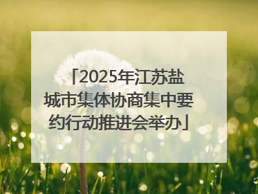 2025年江苏盐城市集体协商集中要约行动推进会举办