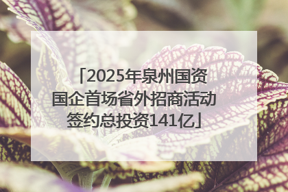 2025年泉州国资国企首场省外招商活动签约总投资141亿