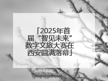 2025年首届“智见未来”数字文旅大赛在西安圆满落幕