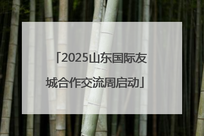 2025山东国际友城合作交流周启动