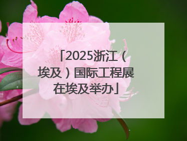 2025浙江（埃及）国际工程展在埃及举办