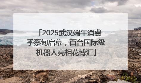 2025武汉端午消费季蔡甸启幕，百台国际级机器人亮相花博汇