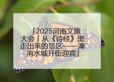 2025河南文旅大会丨从《诗经》里走出来的景区——溱洧水城开街迎宾