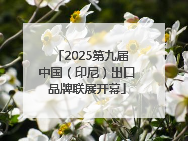 2025第九届中国（印尼）出口品牌联展开幕