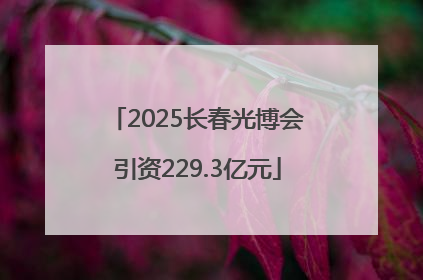 2025长春光博会引资229.3亿元