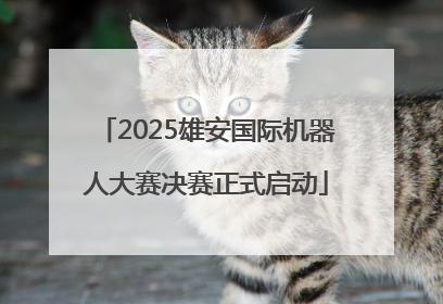 2025雄安国际机器人大赛决赛正式启动
