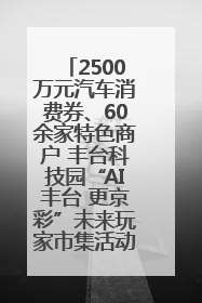 2500万元汽车消费券、60余家特色商户 丰台科技园“AI丰台 更京彩”未来玩家市集活动正式开幕