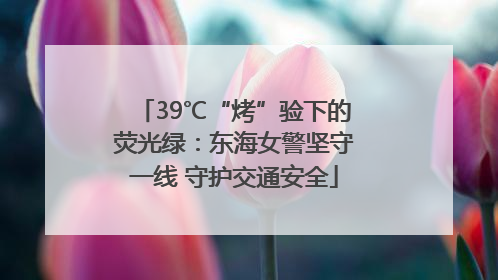 39℃“烤”验下的荧光绿：东海女警坚守一线 守护交通安全