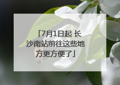 7月1日起 长沙南站前往这些地方更方便了
