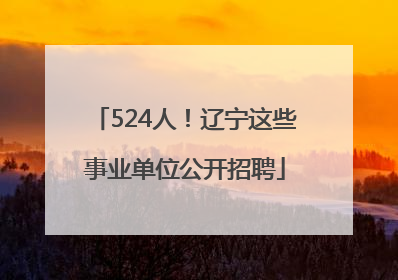 524人！辽宁这些事业单位公开招聘