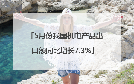 5月份我国机电产品出口额同比增长7.3%