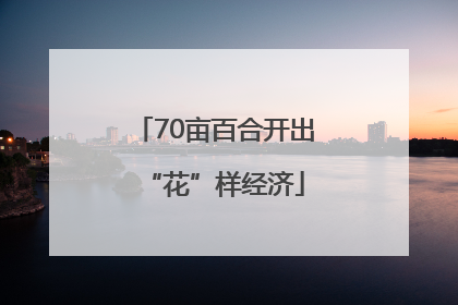70亩百合开出“花”样经济