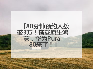 80分钟预约人数破3万！搭载原生鸿蒙，华为Pura 80来了！