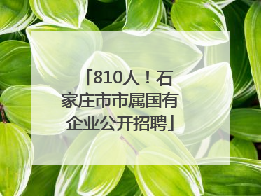 810人！石家庄市市属国有企业公开招聘