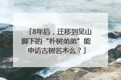 8年后，迁移到吴山脚下的“朴树弟弟”能申请古树名木么？